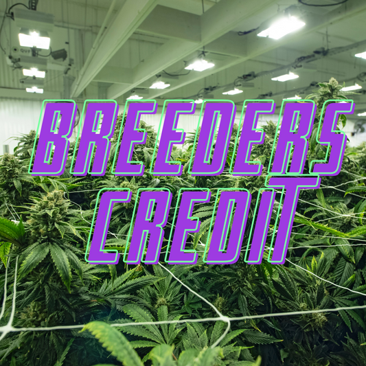 SOLOUD GENETICS CROSSES | BREEDER CREDIT