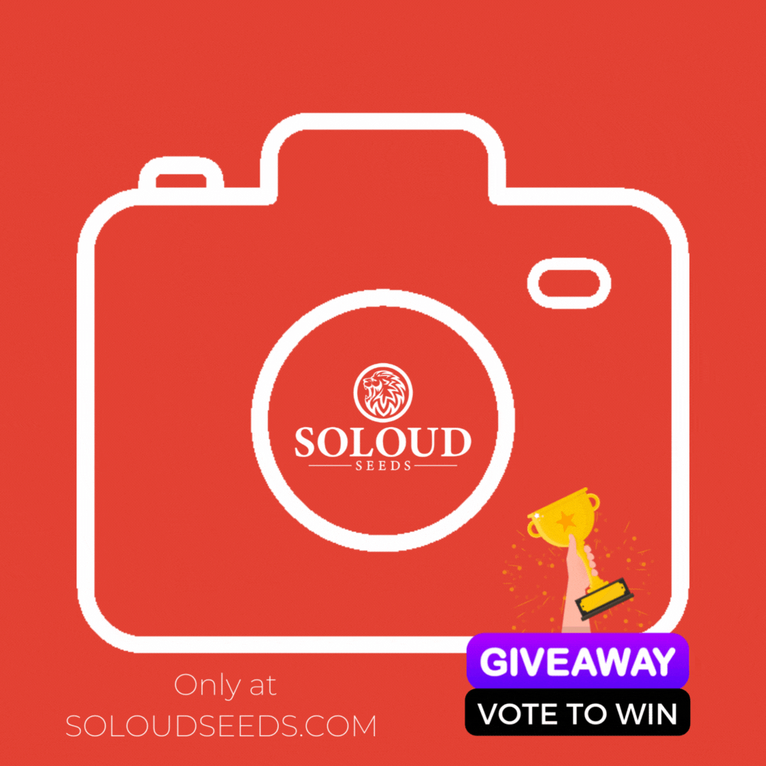 SOLOUD GENETICS PHOTO CONTEST '22