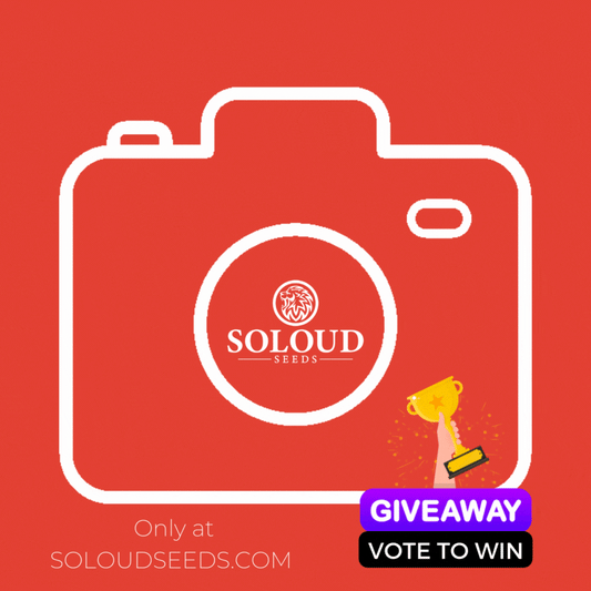 SOLOUD GENETICS PHOTO CONTEST '22