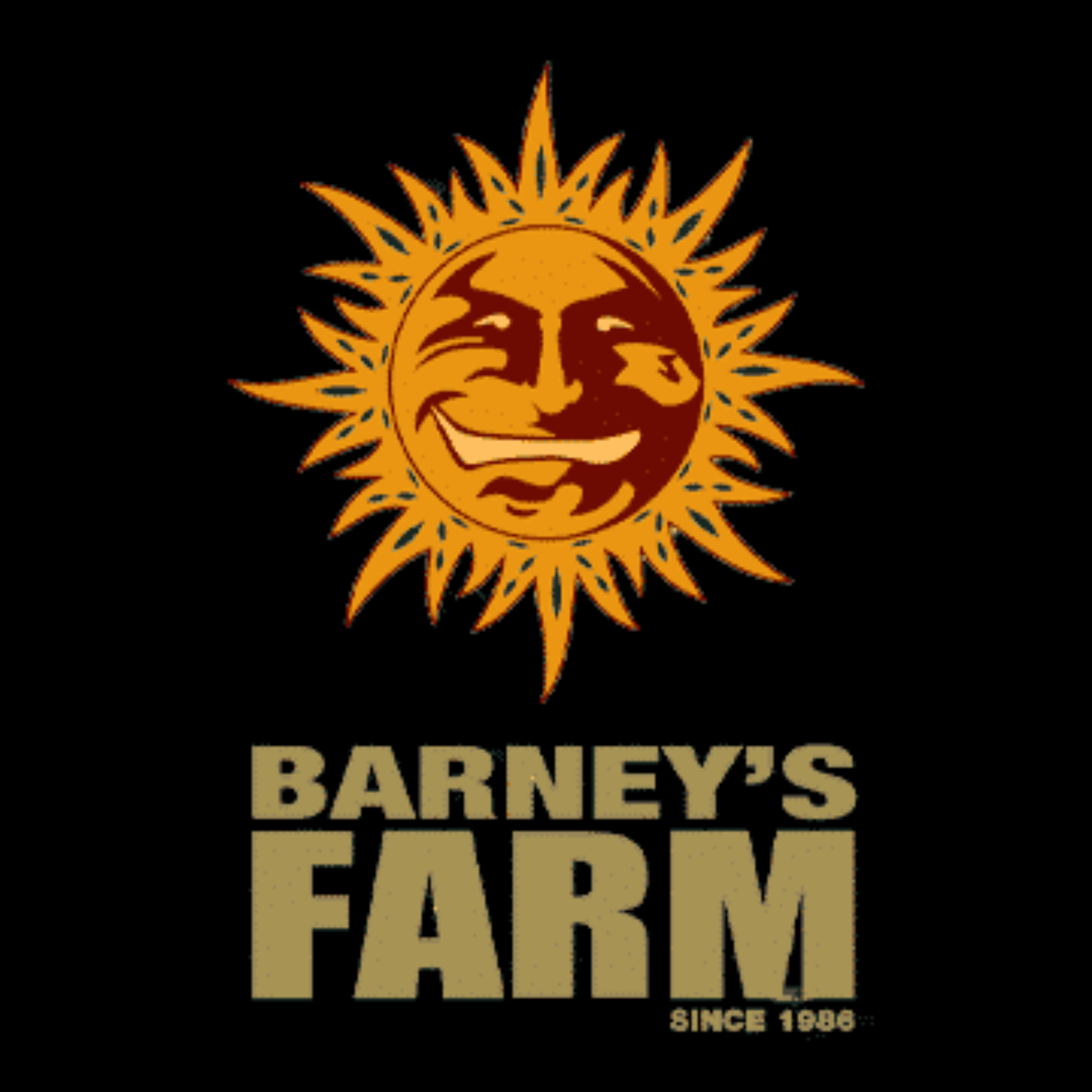 BARNEY