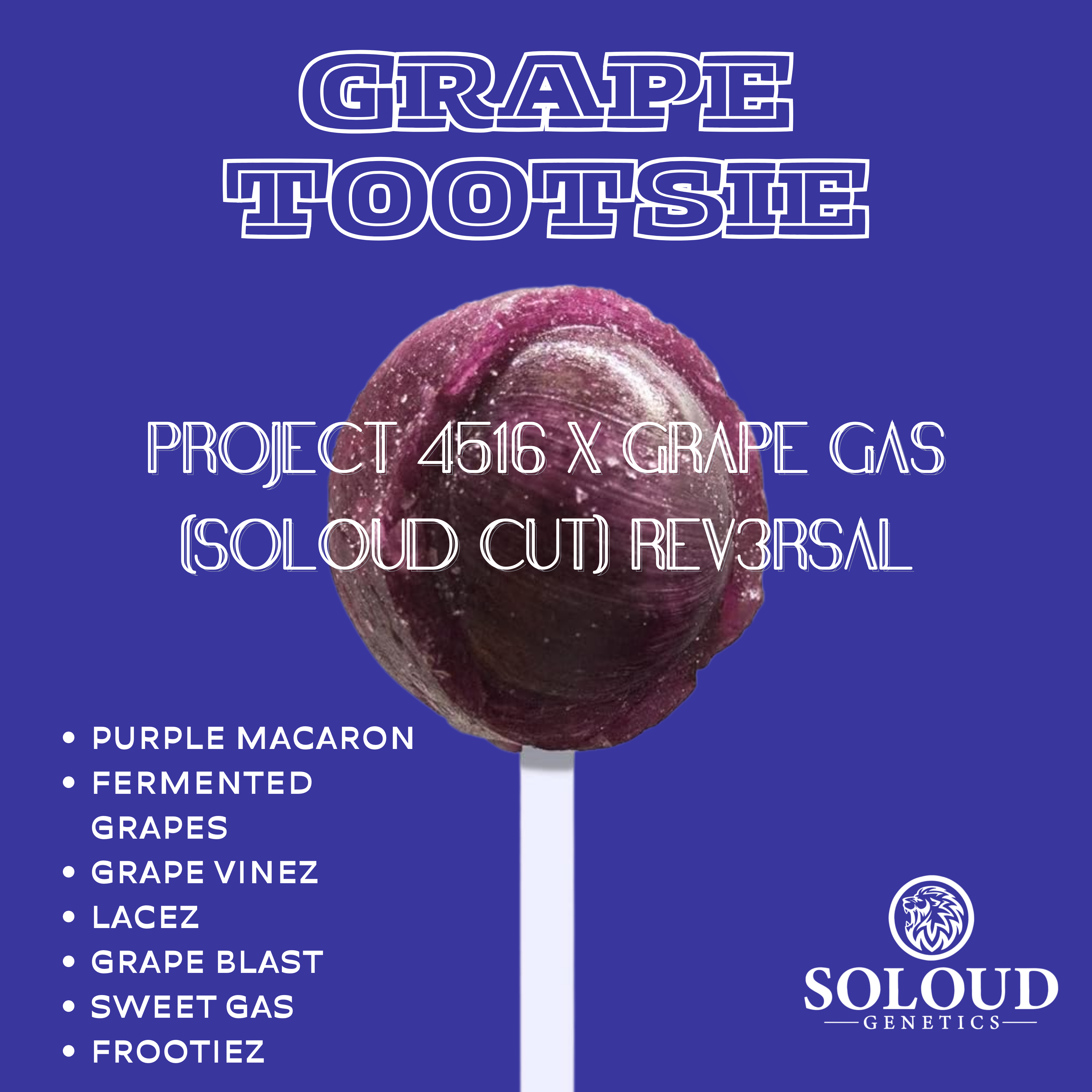 GRAPE TOOTSIE – tagged 