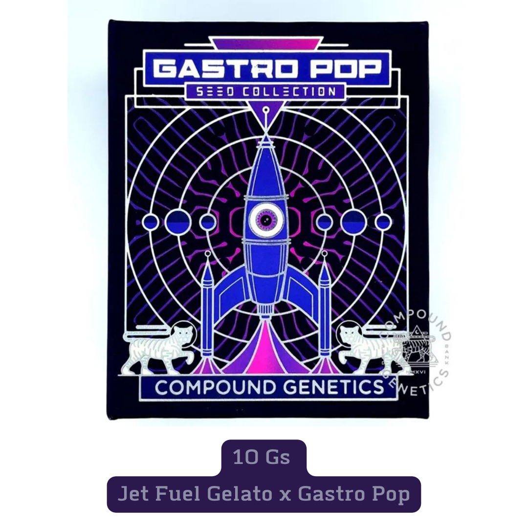 10 Gs (JETFUEL GELATO x GASTRO POP) STRAIN LINEAGE, FEMINIZED SEEDS, COMPOUND GENETICS