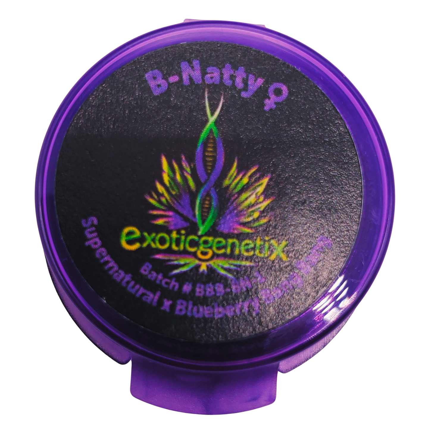BLUEBERRY BANG BANG FREEBIES
