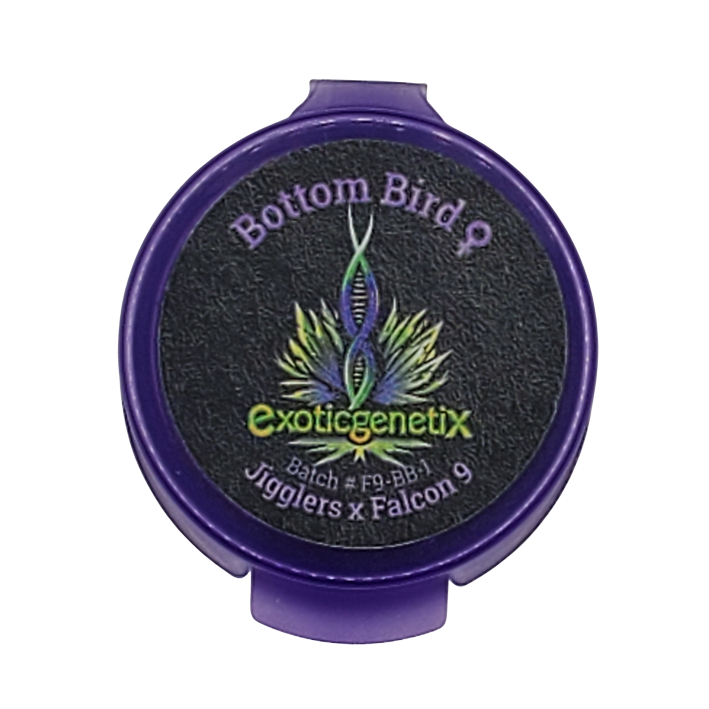 Bottom Bird (Jigglers x Falcon 9) freebie