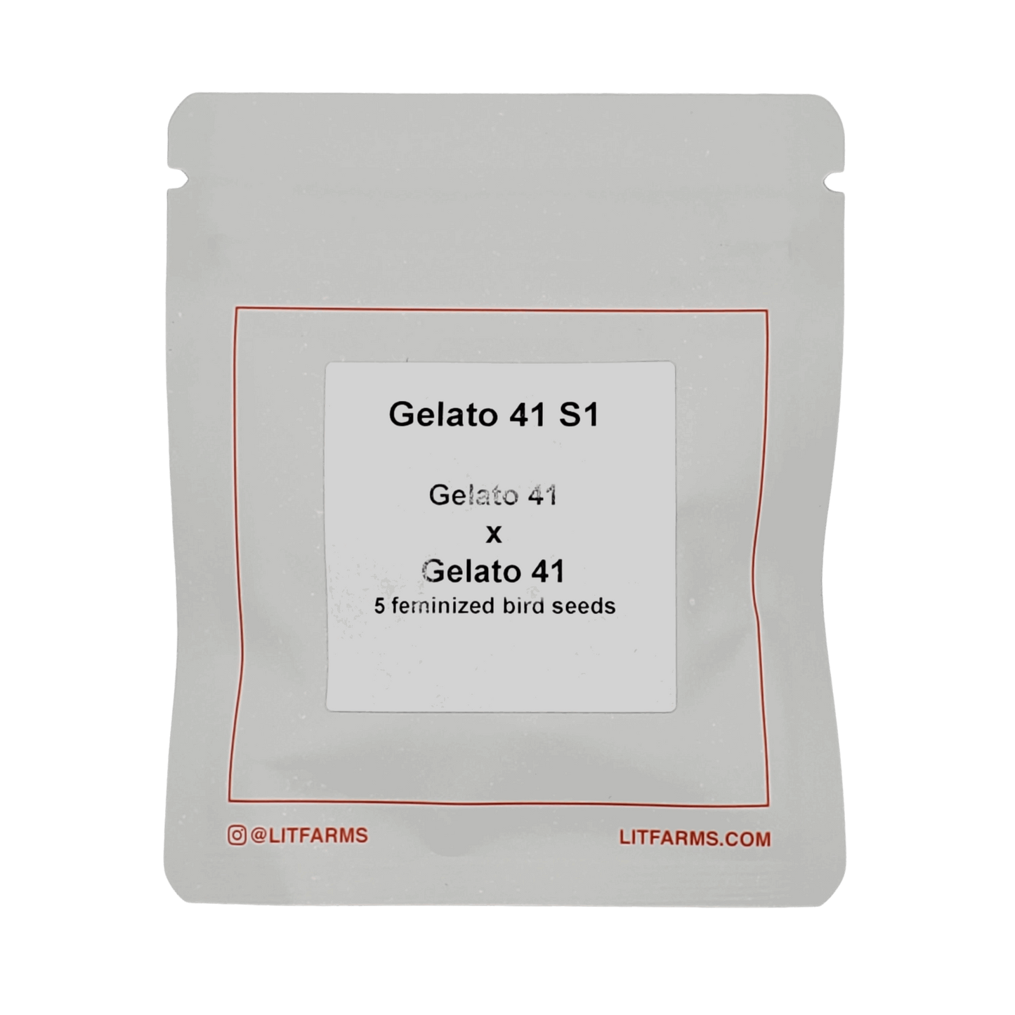 Gekato 41 S1 strain feminized camnabis seeds