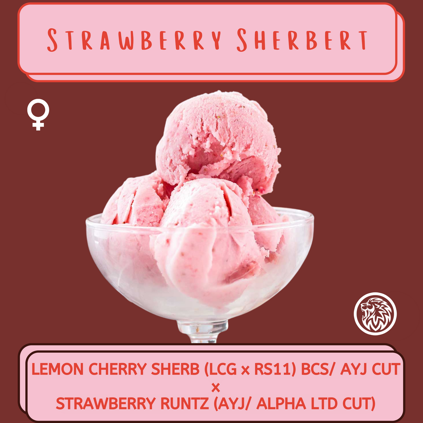 STRAWBERRY SHERBERT (FEM) 6-PACK