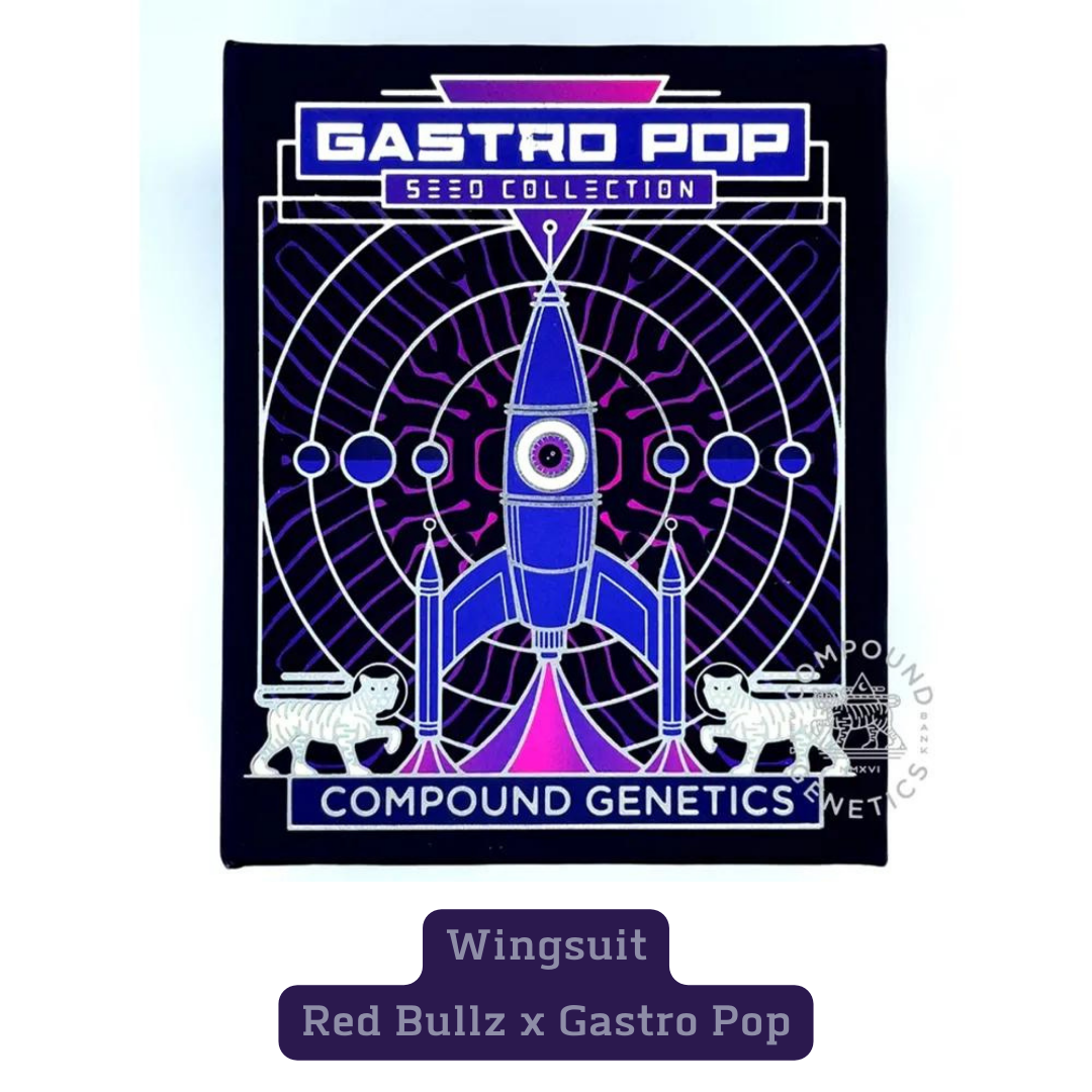 WINGSUIT (Red Bullz x Gastro Pop #5) STRAIN LINEAGE, FEMINIZED SEEDS COMPOUND GENETICS