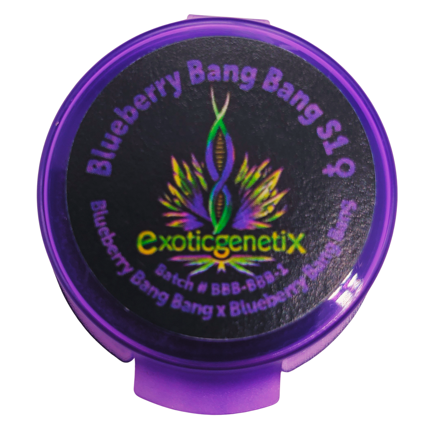 BLUEBERRY BANG BANG STRAIN S1 SEEDS EXOTIC GENETIX