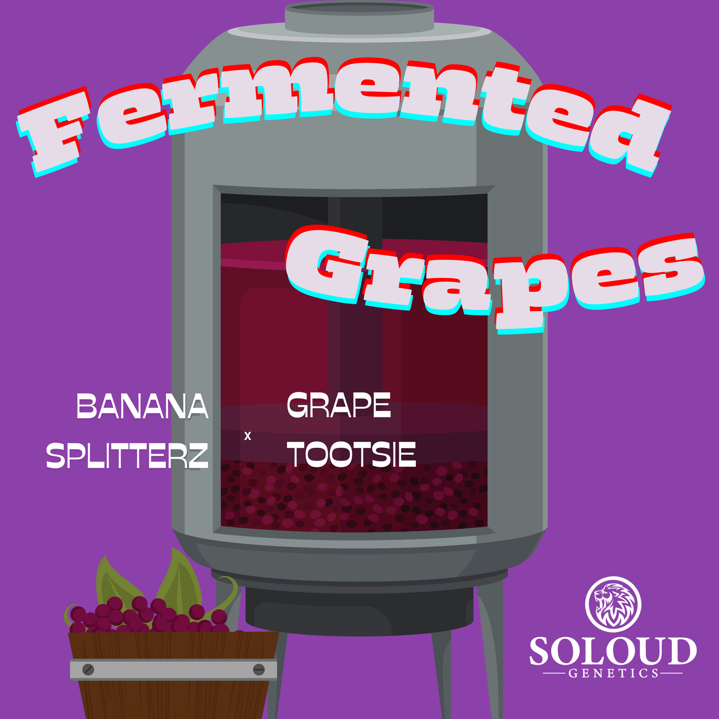 FERMENTED GRAPES Lineage: Banana Splitterz #4 (Divine Banana x OOOZE 1.0) x Grape Tootsie (Project 4516 x Grape Gas) Feminized Cannabis Seeds