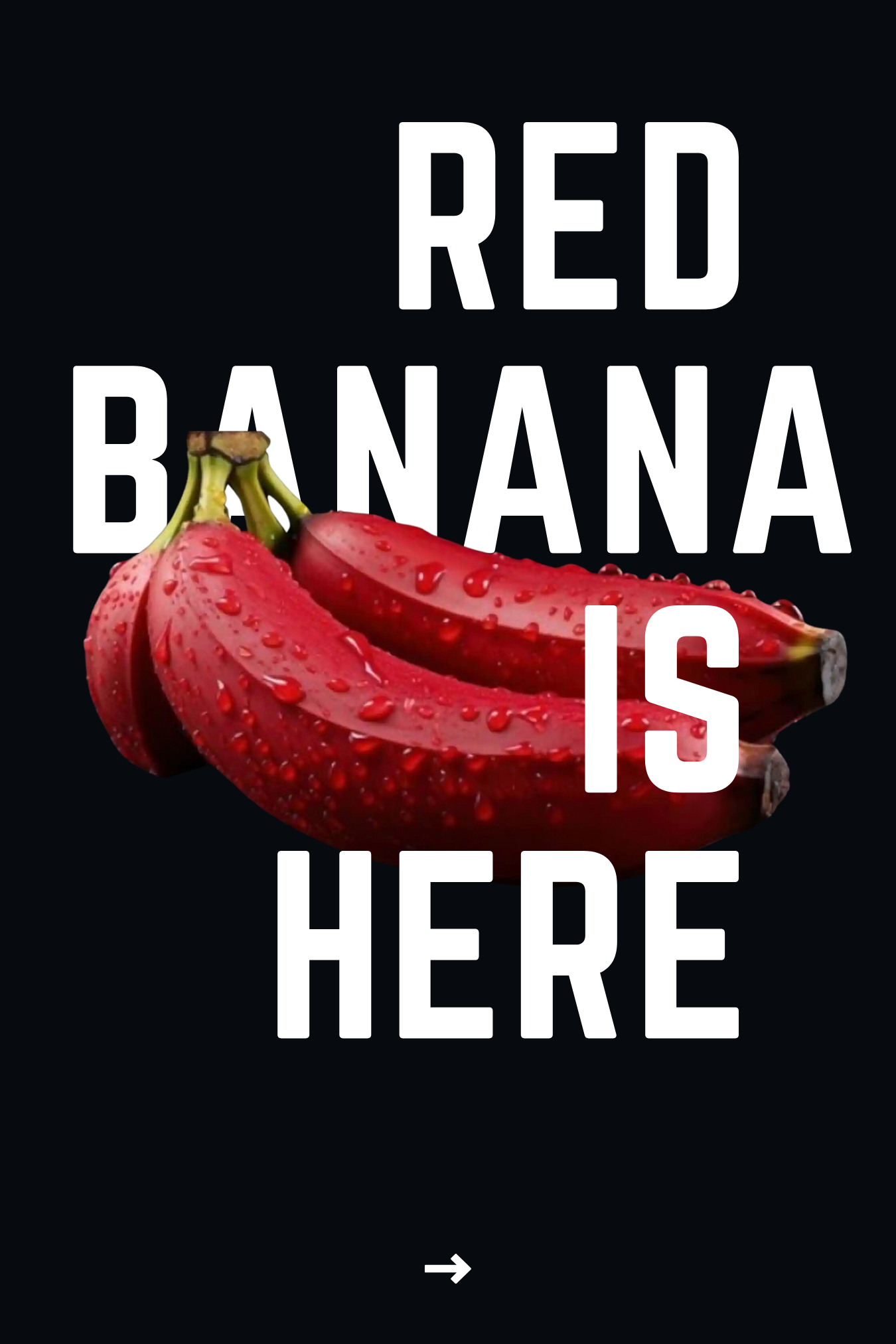 RED BANANA (BANANA SPLITTERZ X RED RUNTZ) FEM