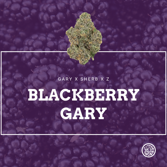 BLACKBERRY GARY S1 STRAIN FEMINIZED SEEDS