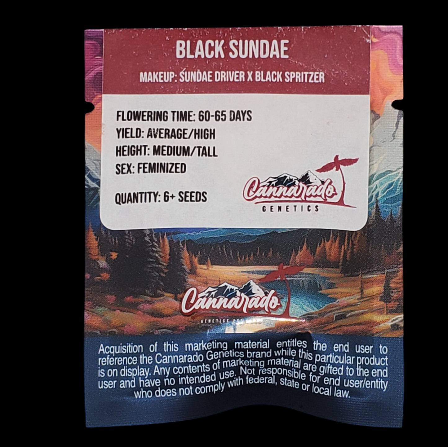 BLACK SUNDAE (SUNDAE DRIVER X BLACK SPRITZER) FEMINIZED CANNABIS SEEDS CANNARADO