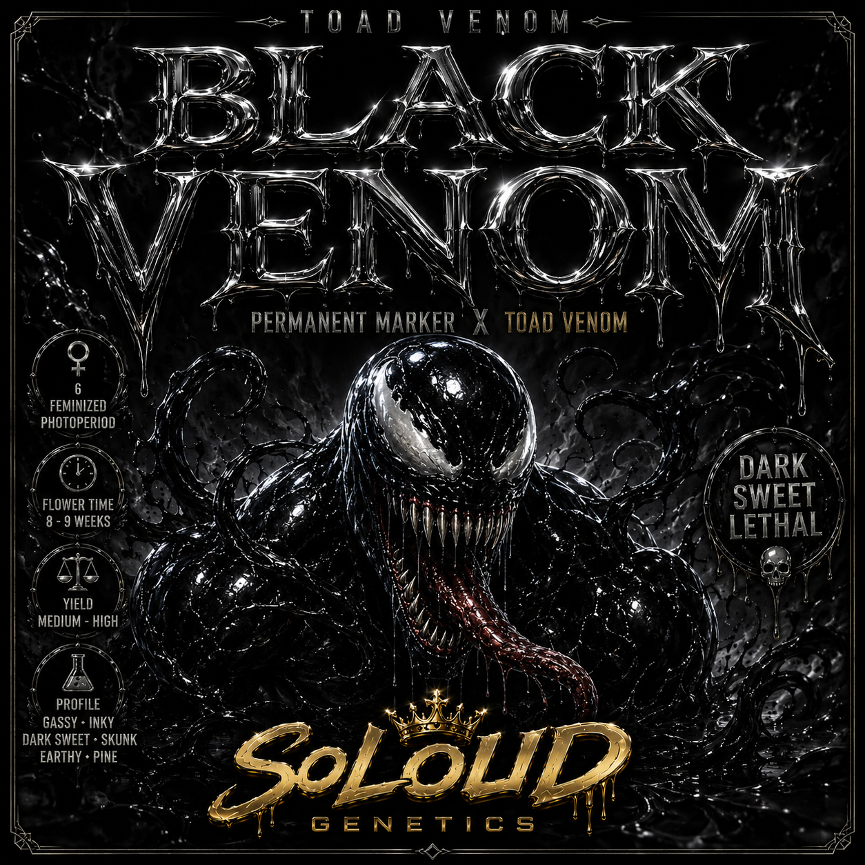 BLACK VENOM FEMINIZED SEEDS