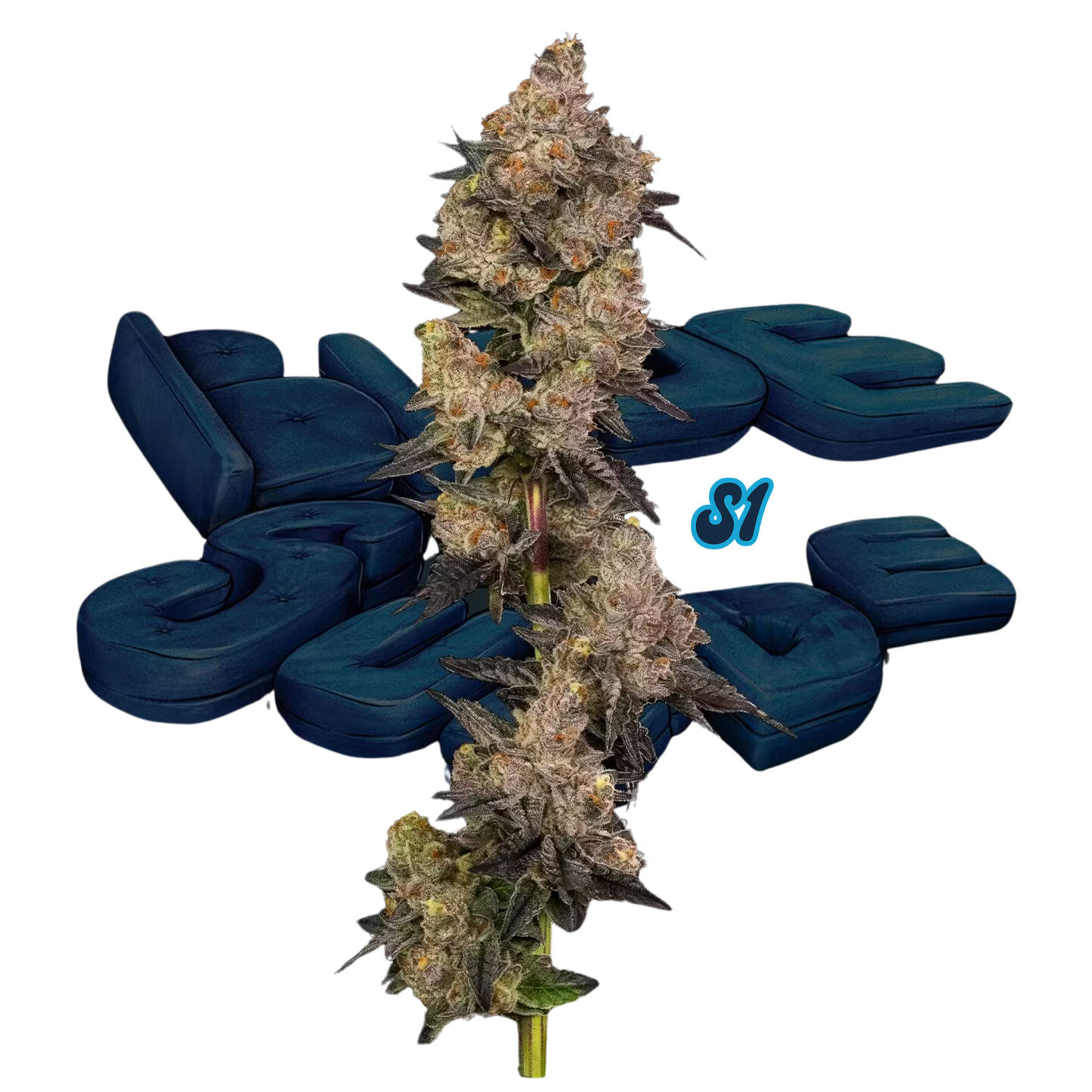 BLUE SUEDE S1