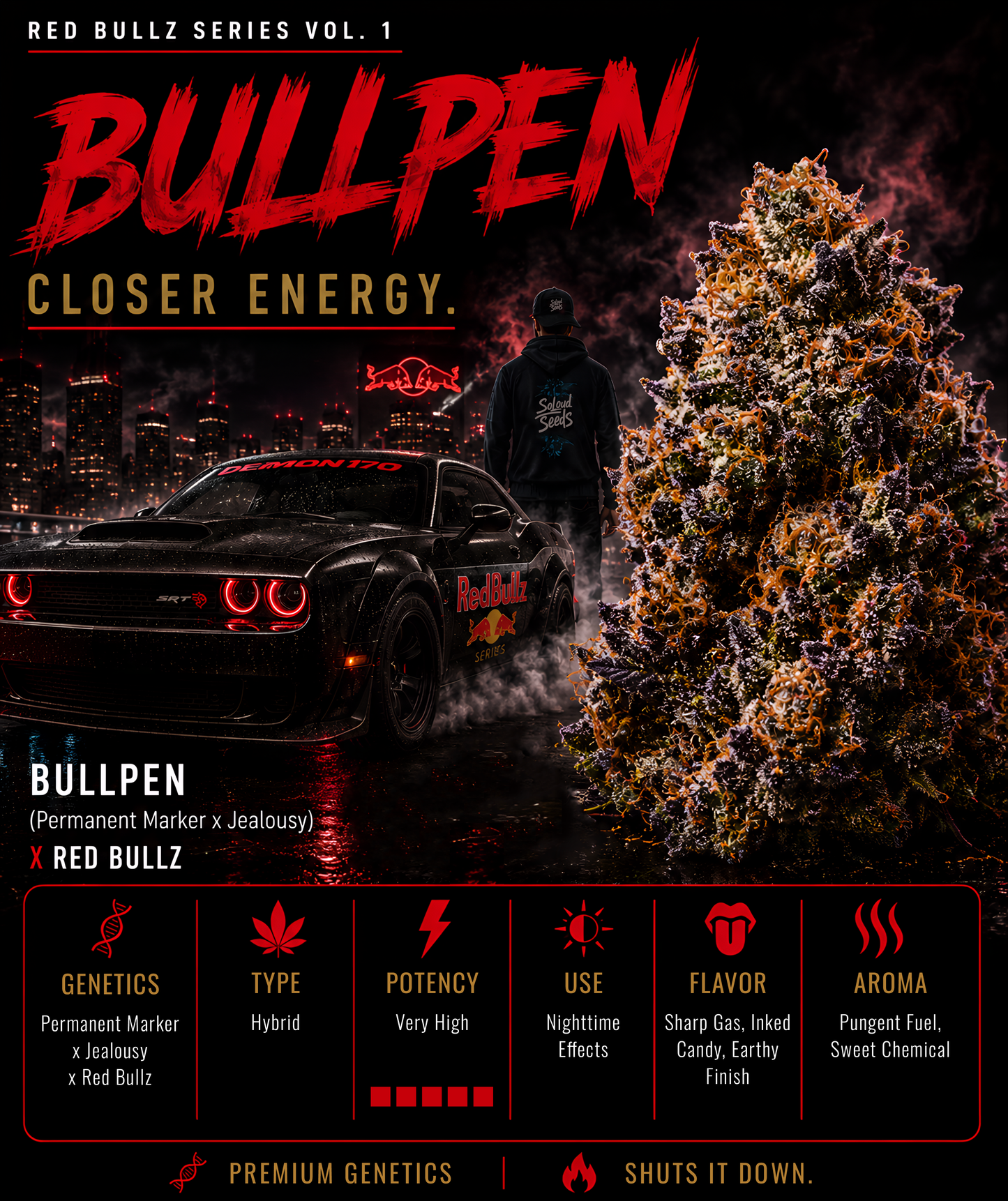 BULLPEN (PERMANENET MARKER X JEALOUSY) X RED BULLZ (FEM)