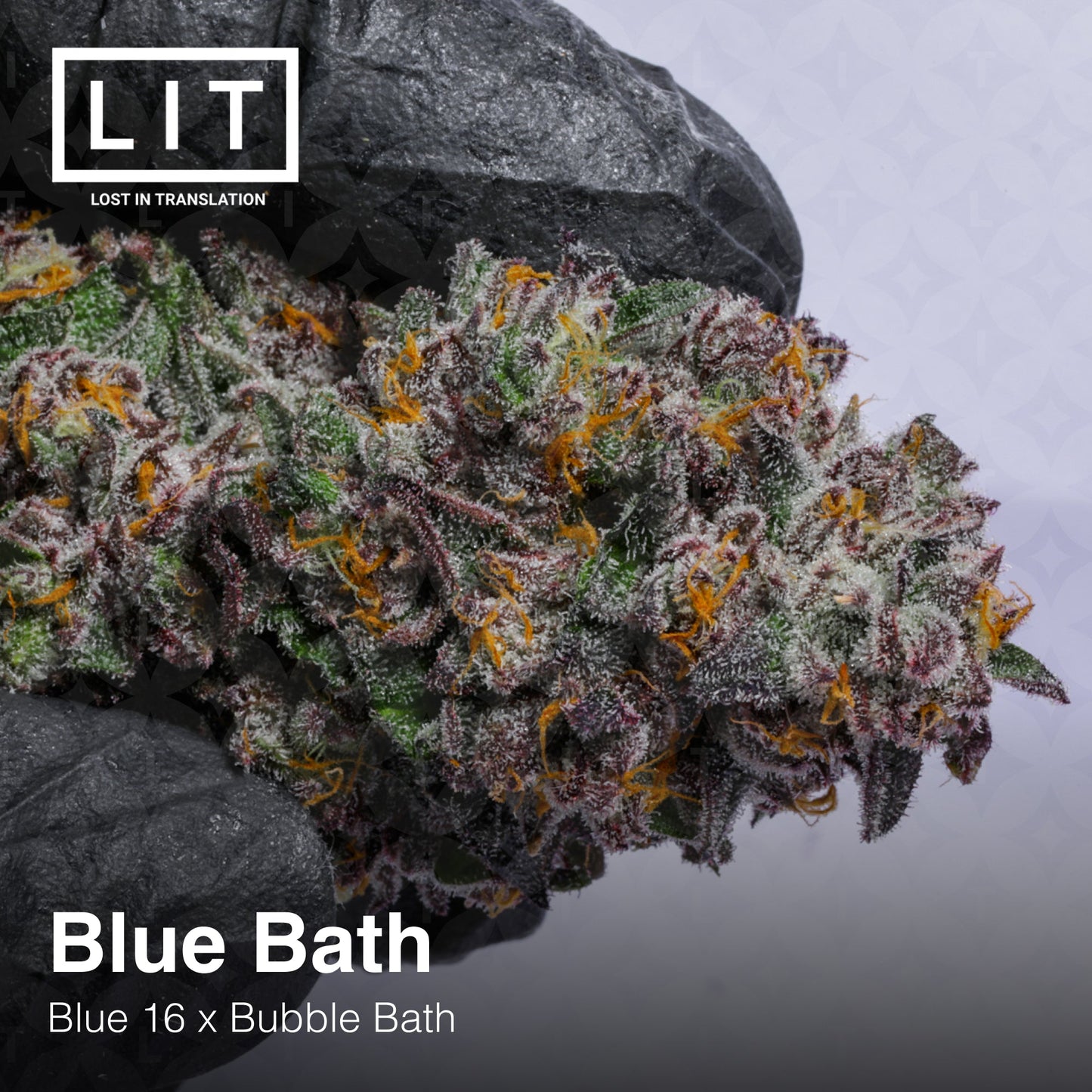 BLUE BATH (FEM)