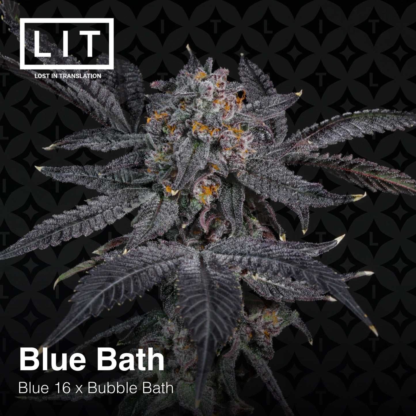 BLUE BATH (FEM)