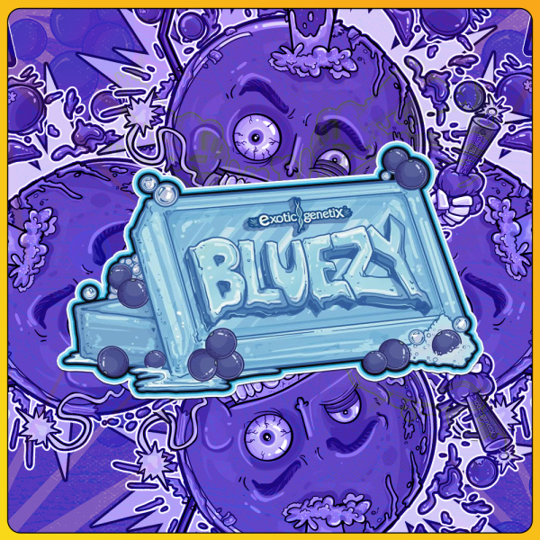 BLUEZY (ZOAP X BLUEBERRY BANG BANG) FEM