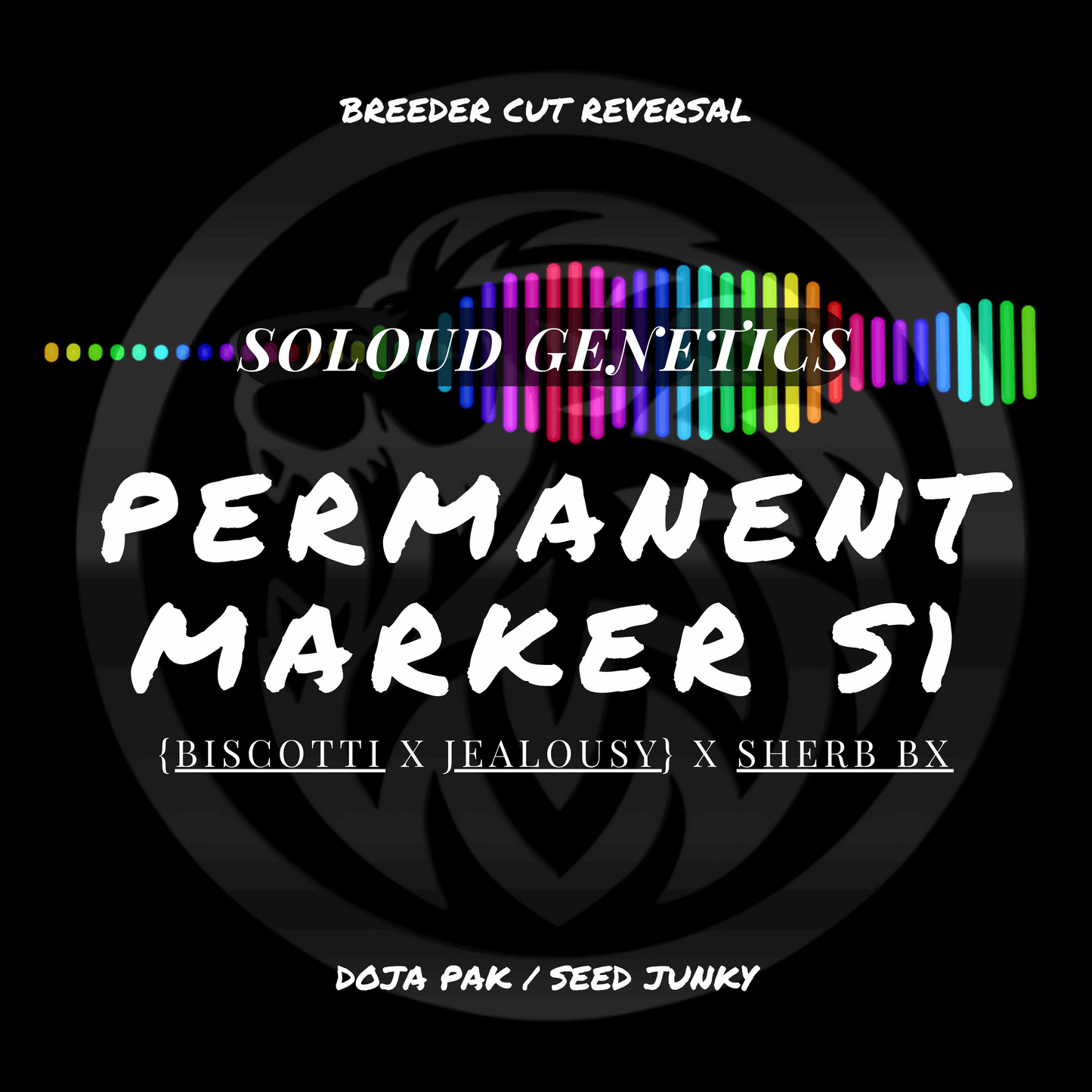 PERMANENT MARKER S1 {Biscotti x Jealousy} x Sherb Bx FEMINIZED CANNABIS SEEDS DOJA PAK SEED JUNKY