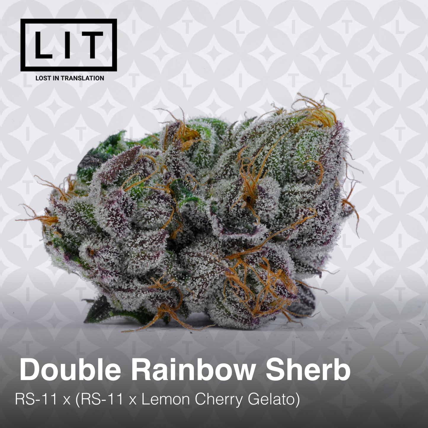 DOUBLE RAINBOW SHERB (FEM)