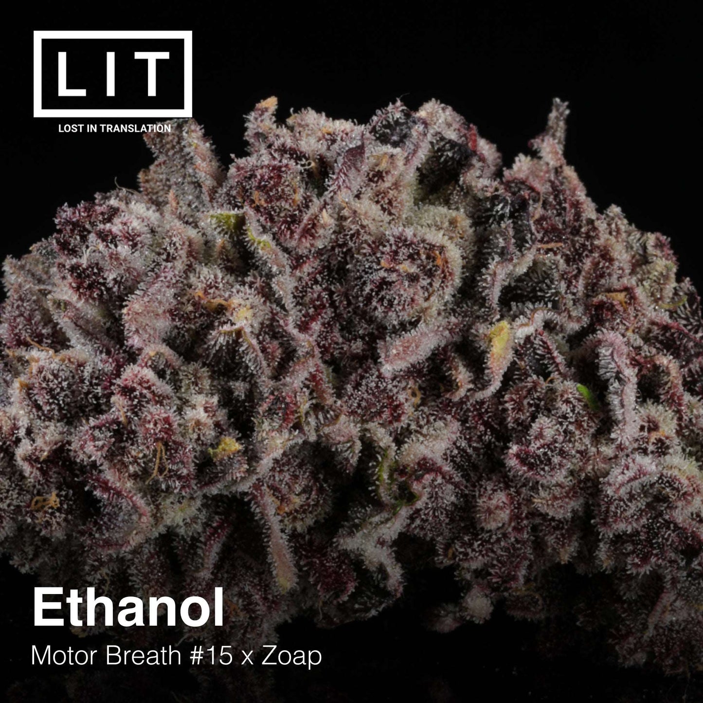 ETHANOL (FEM)