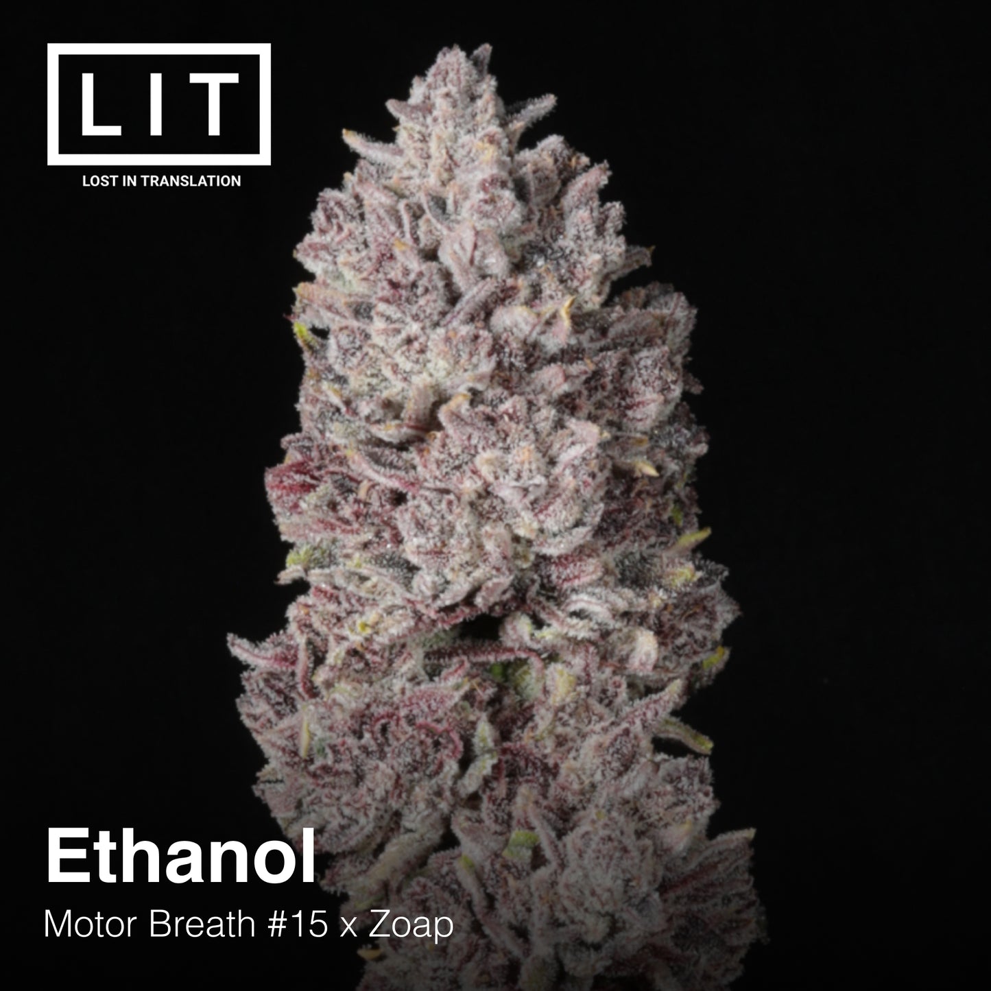 ETHANOL Motor Breath #15 x Zoap Lit Farms seeds