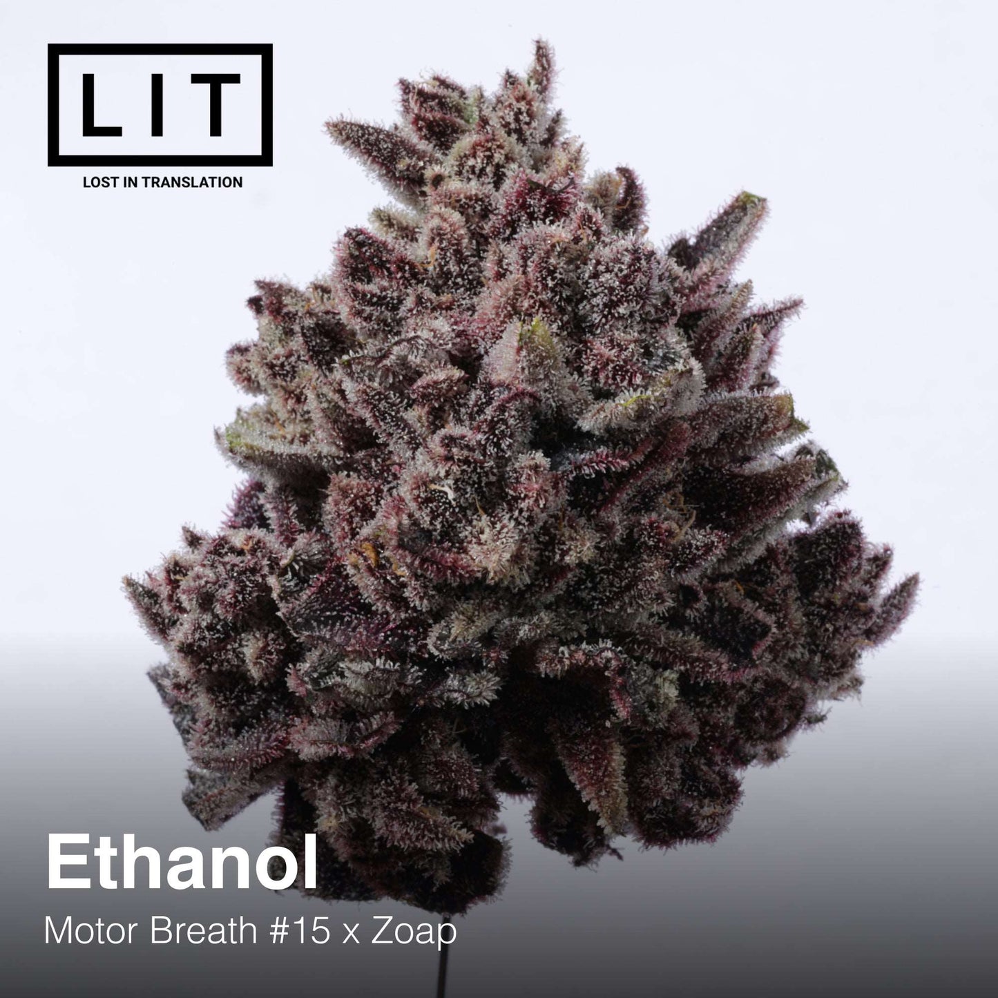 ETHANOL (FEM)