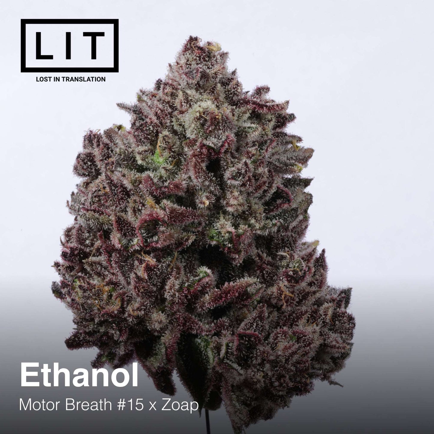 ETHANOL (FEM)