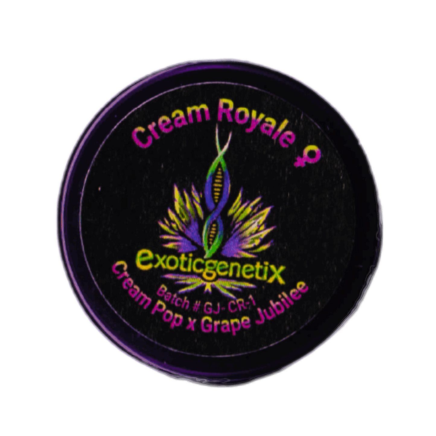 CREAM ROYALE Cream Pop x Grape Jubilee Exotic Genetix