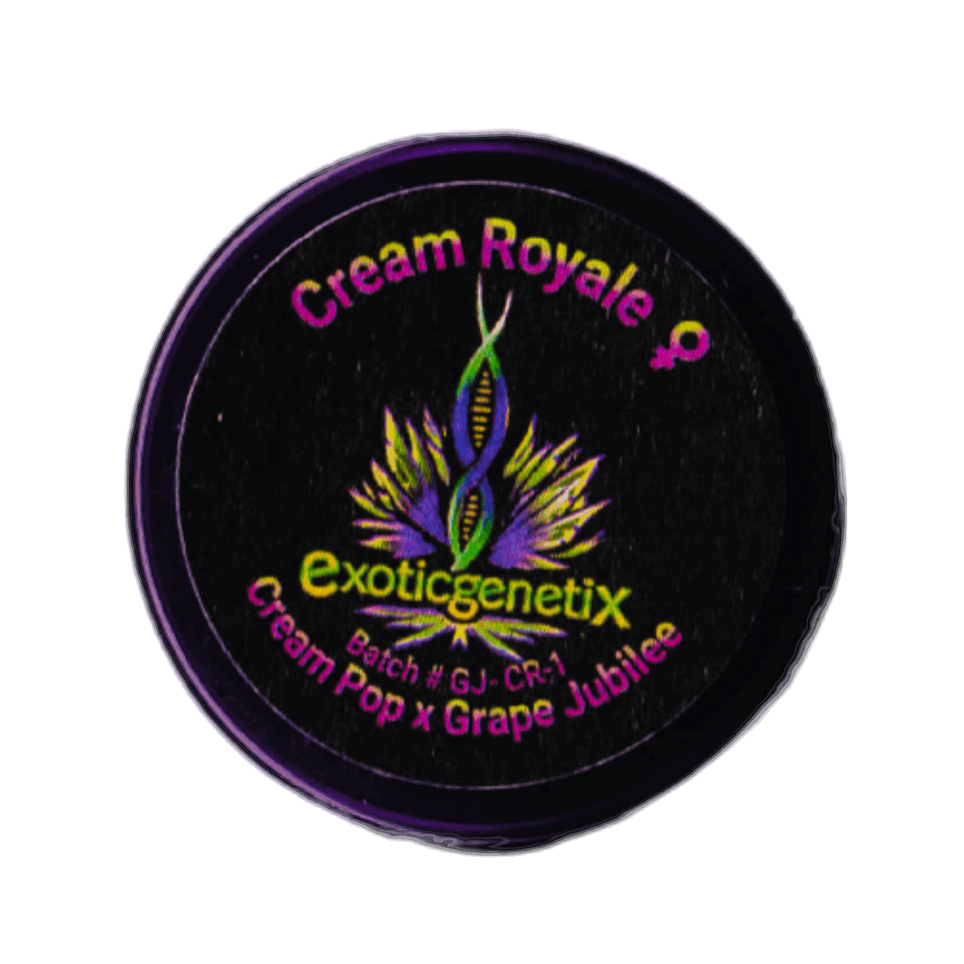 CREAM ROYALE Cream Pop x Grape Jubilee Exotic Genetix