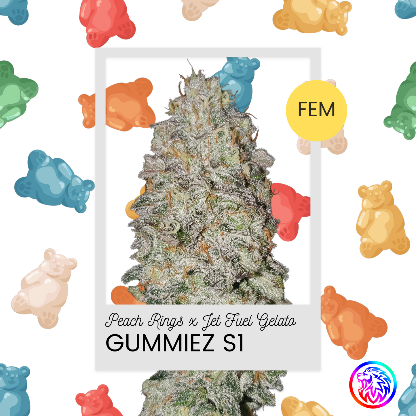 GUMMIEZ S1 STRAIN FEMINIZED CANNABIS SEEDS