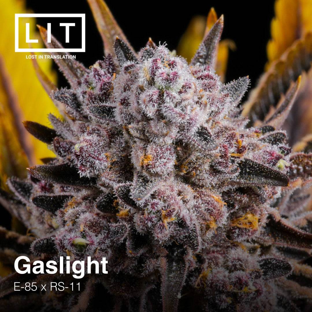 GASLIGHT FEM