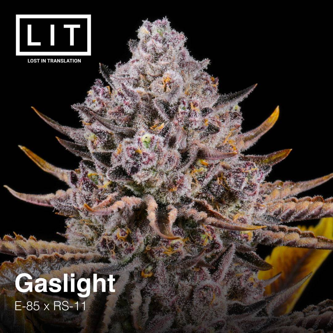 GASLIGHT FEM