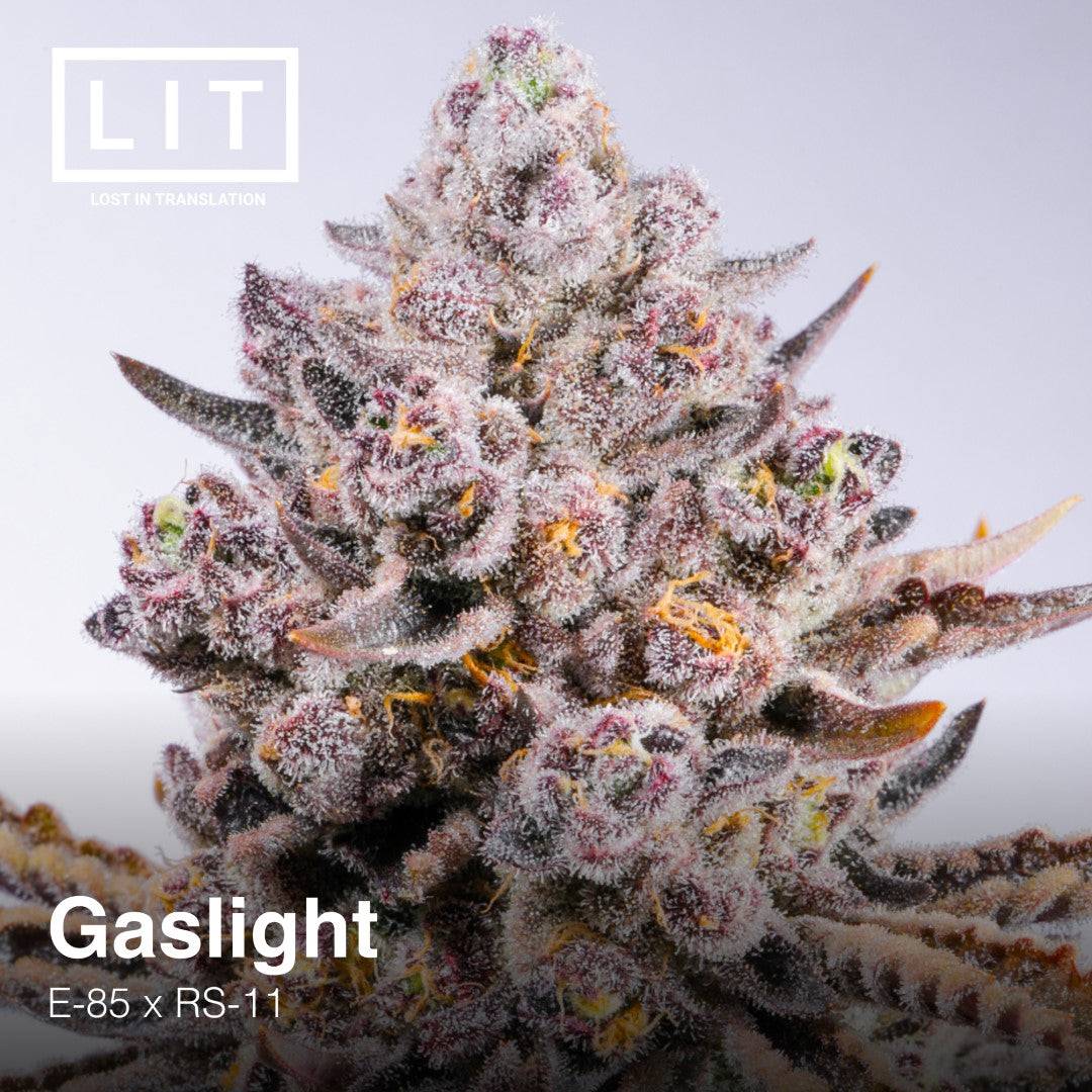 GASLIGHT FEM