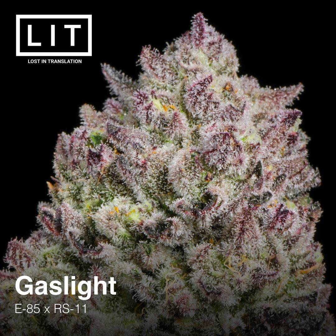GASLIGHT FEM