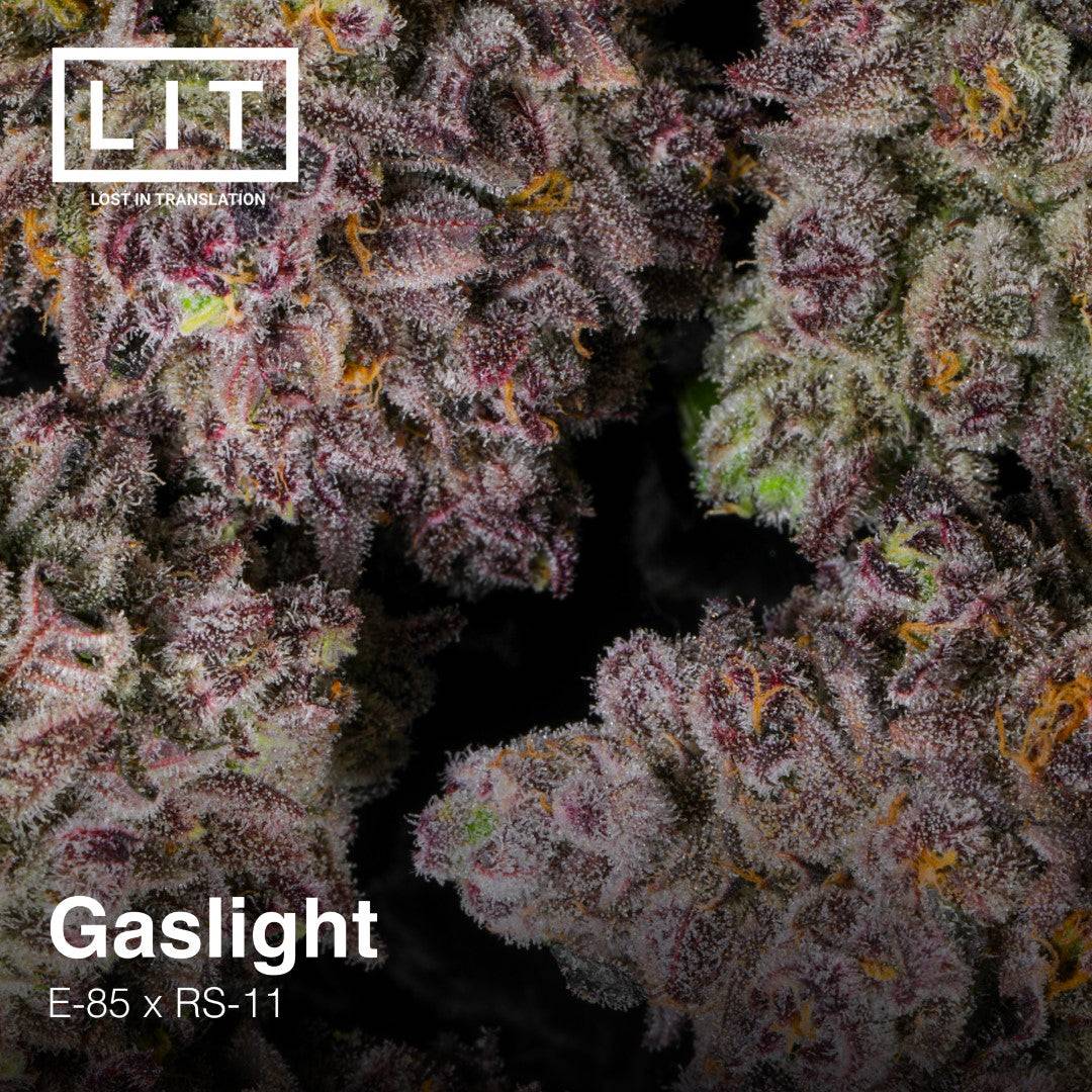 GASLIGHT FEM