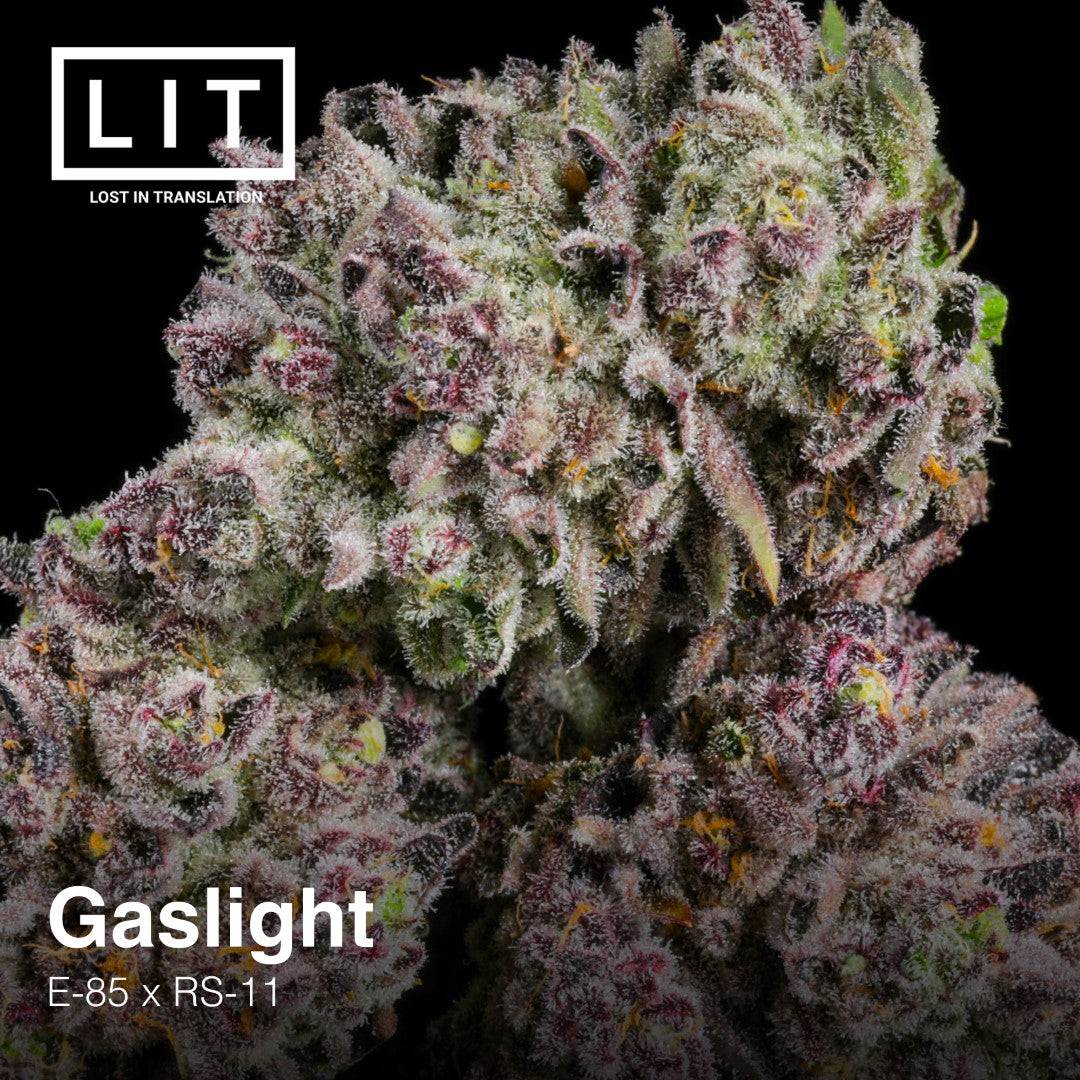 GASLIGHT FEM