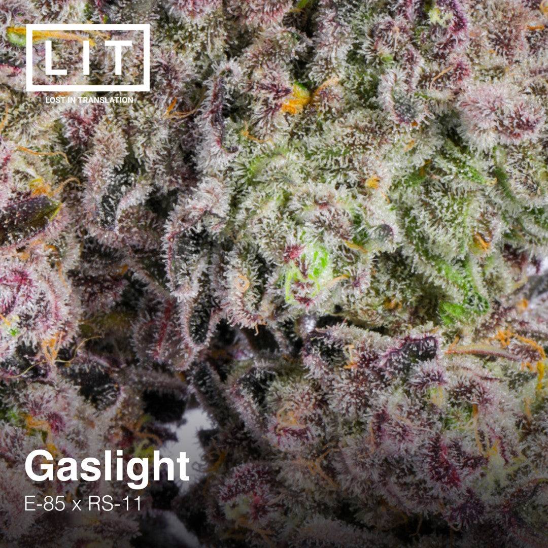 GASLIGHT FEM