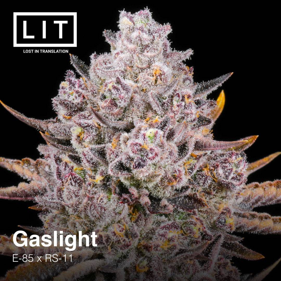GASLIGHT FEM