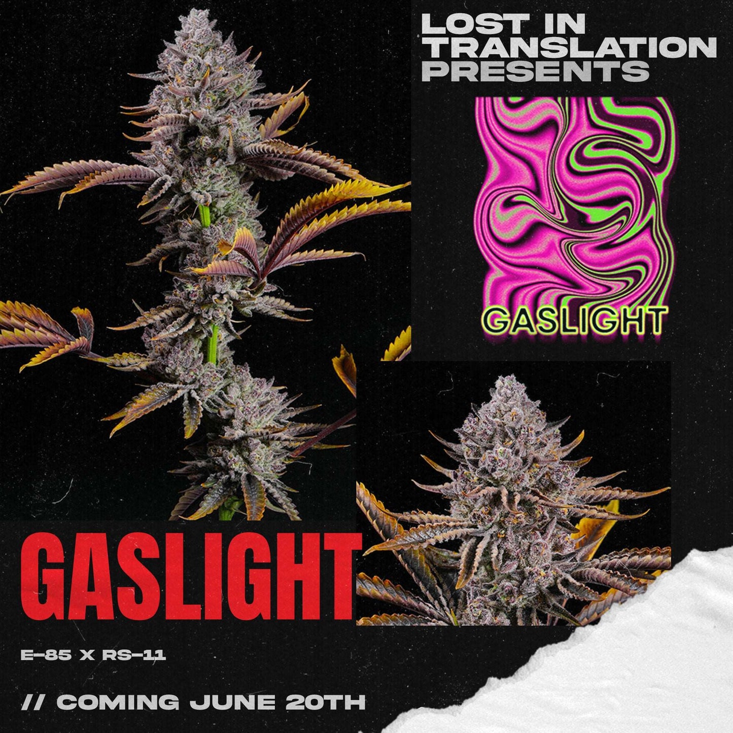 GASLIGHT FEM