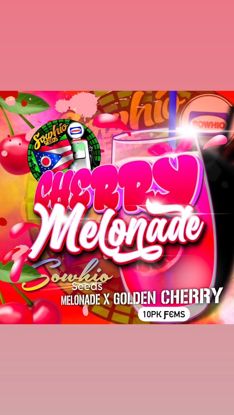 CHERRY MELONADE FEM