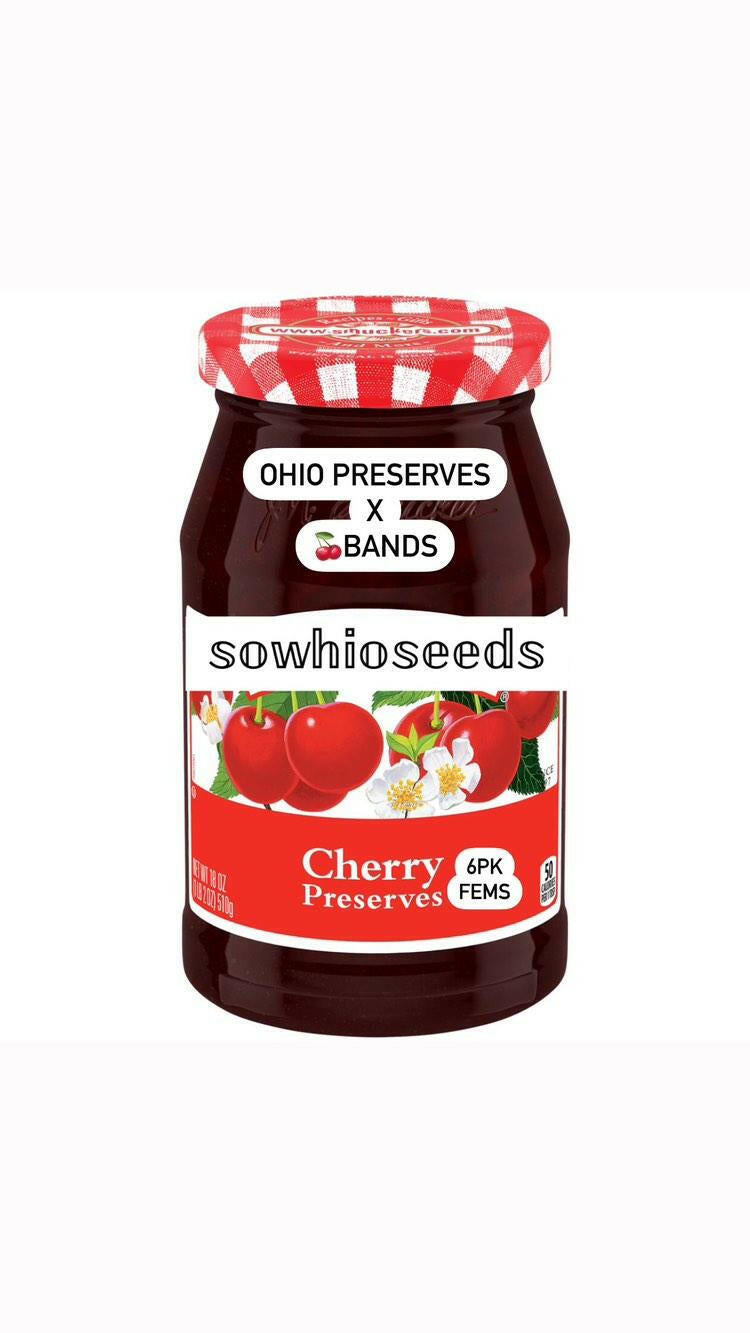 CHERRY PRESERVES OHIO PRESERVES X CHERRY BANDS SOWHIO SEEDS