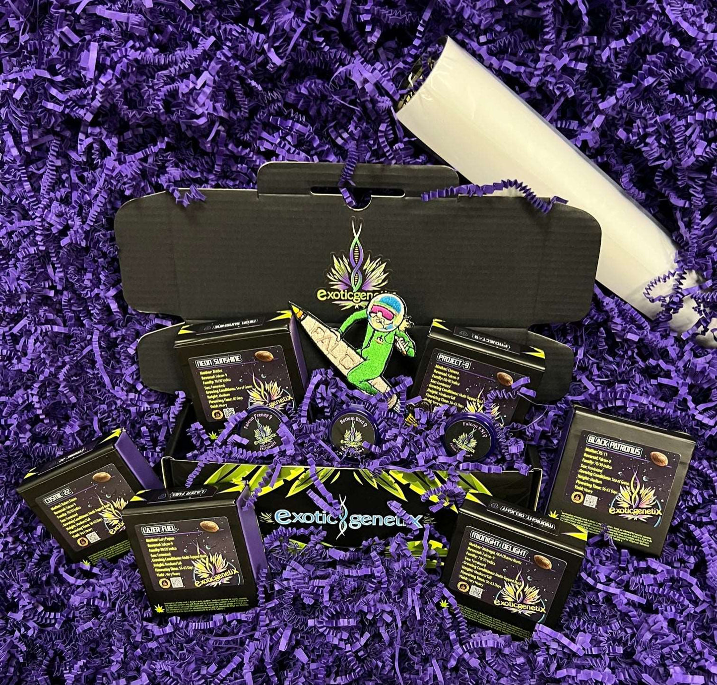 Falcon Seedbank Box Falcon 9 Exotic Genetix