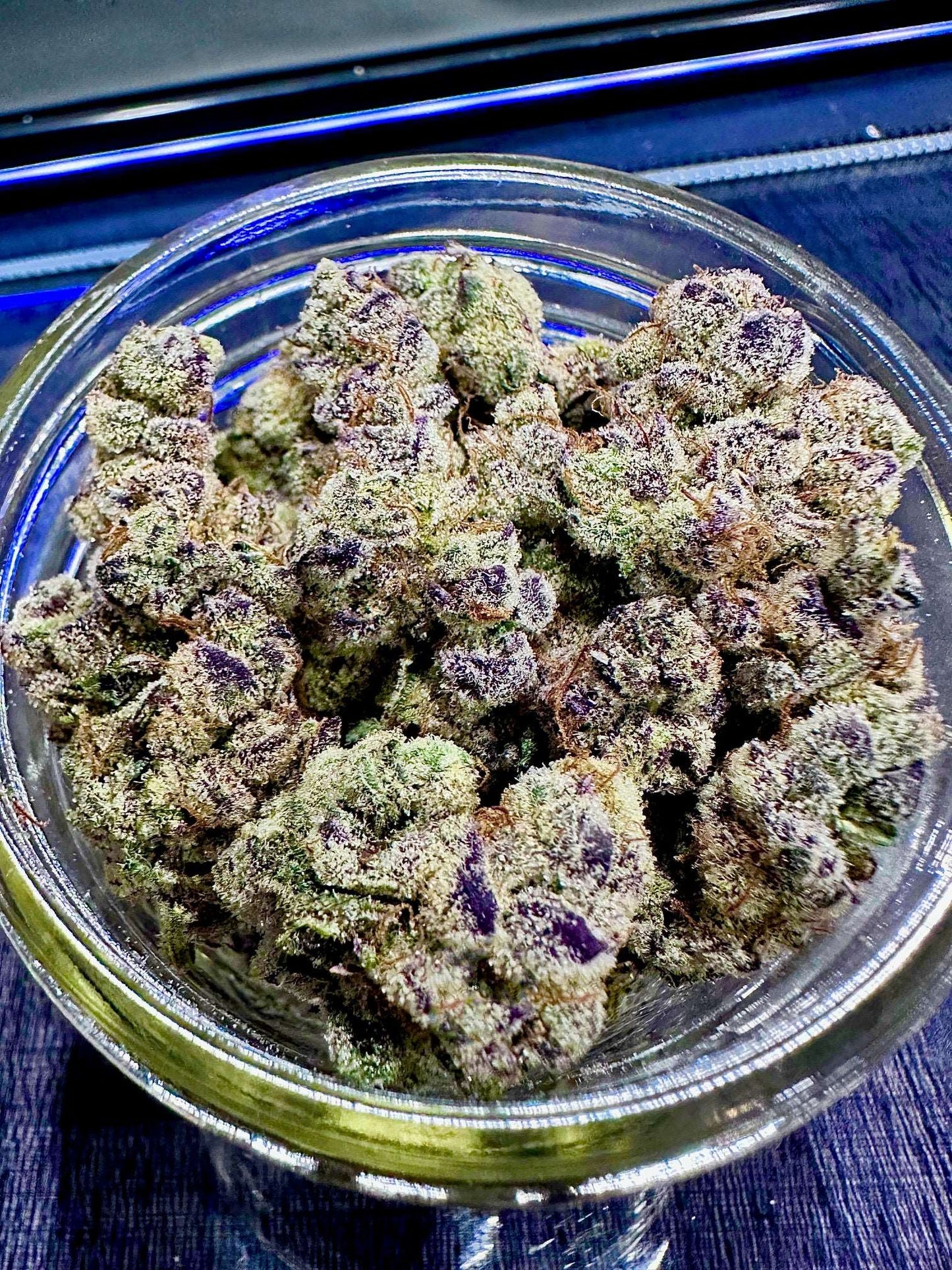 EXOTIC GENETIX Drizzle Beach (Drip Station x Bahama Berry) STRAIN FEMINIZED CANNABIS SEEDS