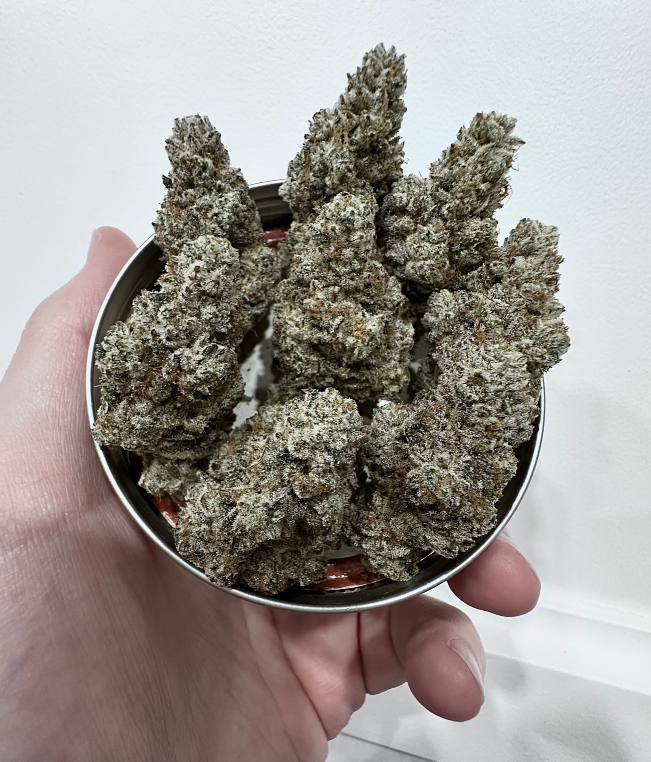 Truffle'z & Cream (Trap Trufflez x Milk & Cookies) FEM