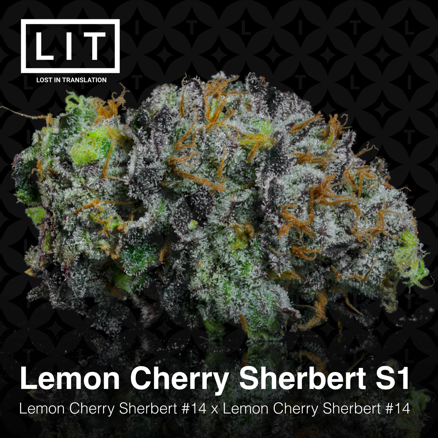 LEMON CHERRY SHERBERT S1