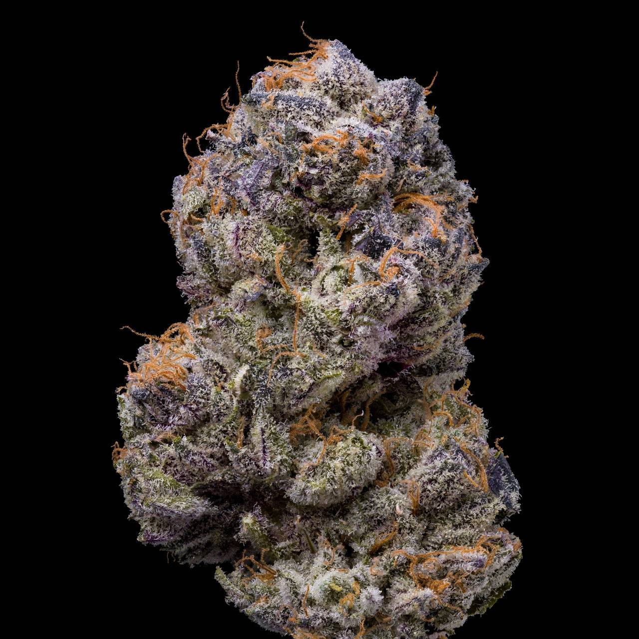 LEMONGRASS STRAIN, GARY PAYTON X MEDELLIN, LEMONNADE FEMINIZED SEEDS