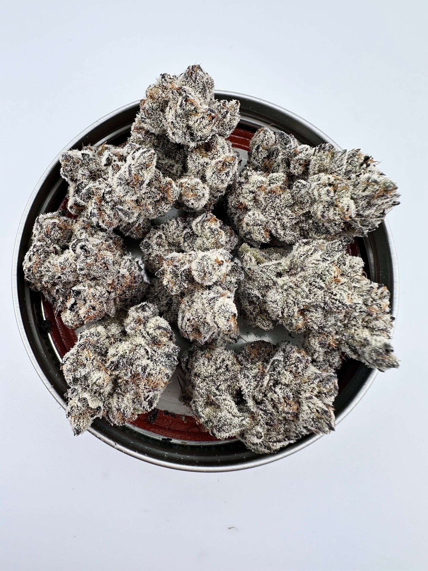 PLANET BANG BANG (PLANET SHERB x BLUEBERRY BANG BANG) FEMINIZED SEEDS EXOTIC GENETIX