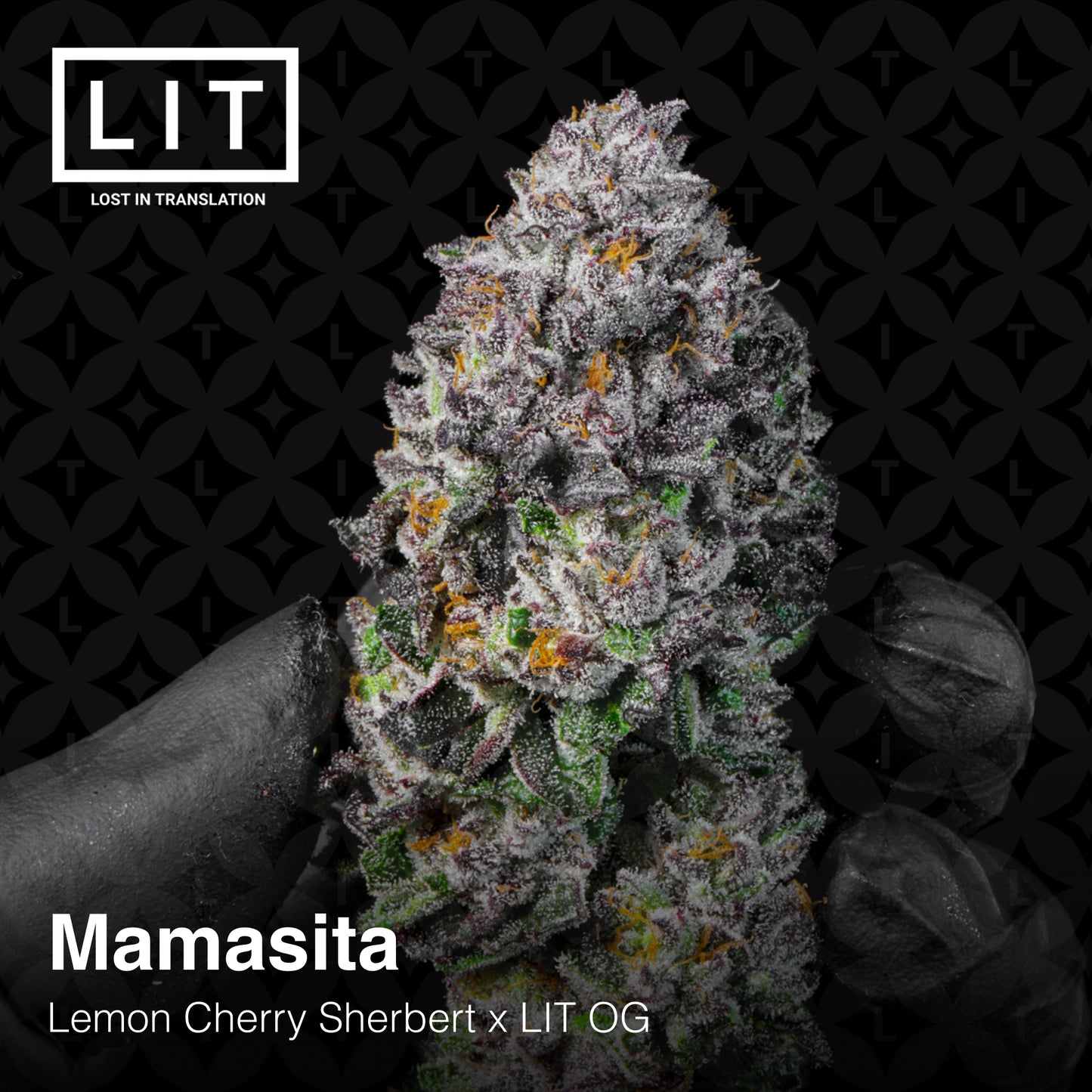 MAMASITA (FEM)