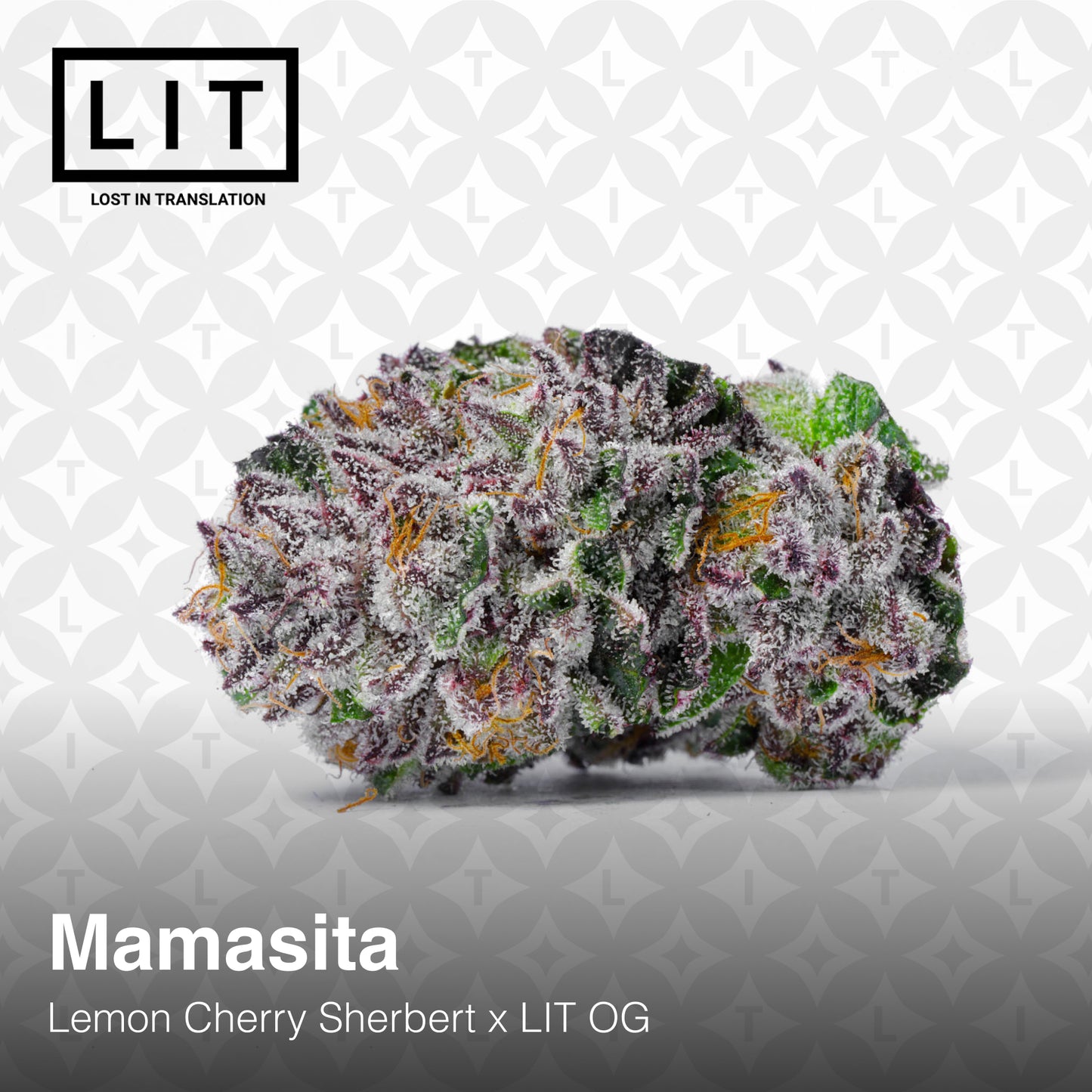 MAMASITA (FEM)